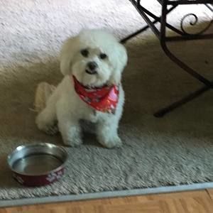 Meet your Posher, Debra